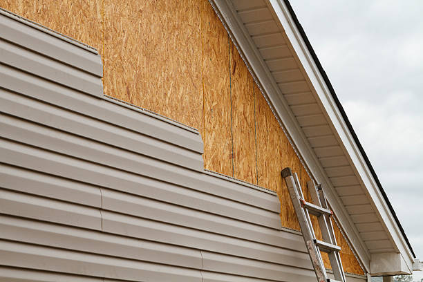 Professional Siding Inspection technician working in Falmouth, KY